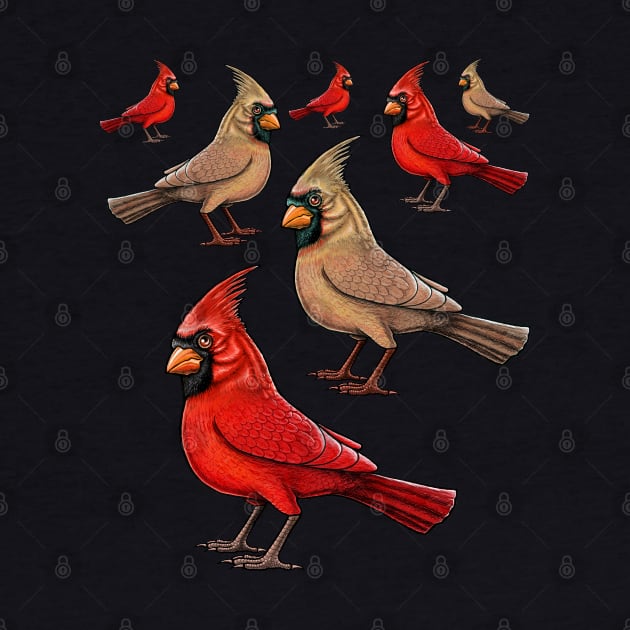 Red Cardinal birds by Artardishop